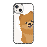 2265-iphone-13-golden-case-magsafe-compatible-transparent-black