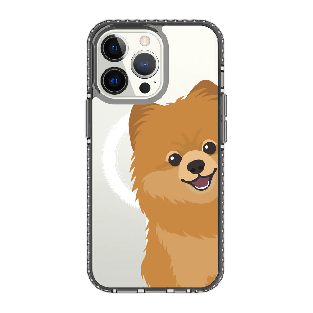 2265-iphone-13-pro-golden-case-magsafe-compatible-transparent-black