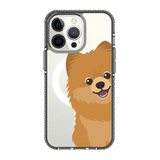 2265-iphone-13-pro-golden-case-magsafe-compatible-transparent-black