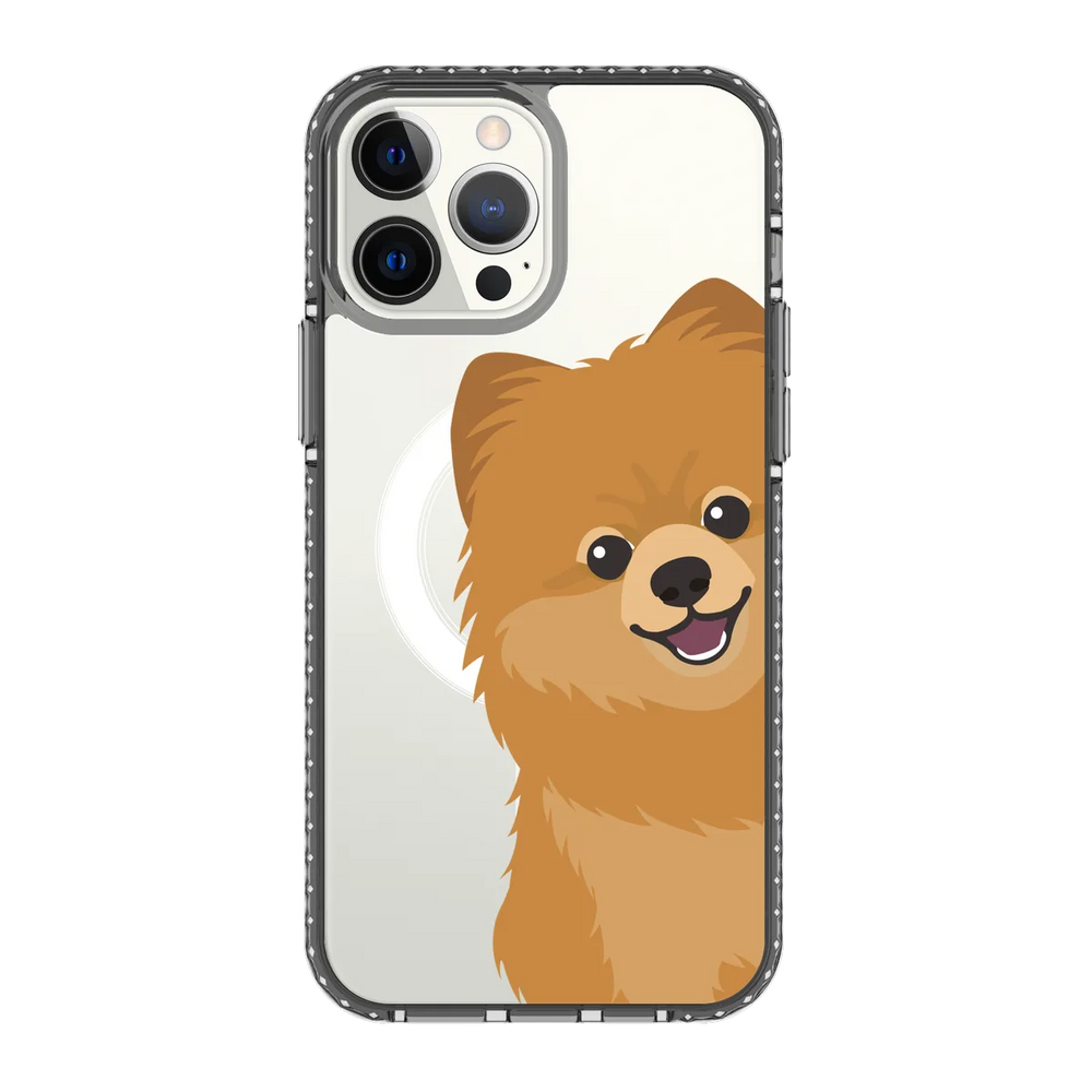 2265-iphone-13-pro-max-golden-case-magsafe-compatible-transparent-black