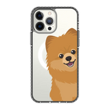 2265-iphone-13-pro-max-golden-case-magsafe-compatible-transparent-black