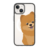 2265-iphone-14-golden-case-magsafe-compatible-transparent-black