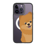 2265-iphone-14-pro-max-golden-case-magsafe-compatible-transparent-black