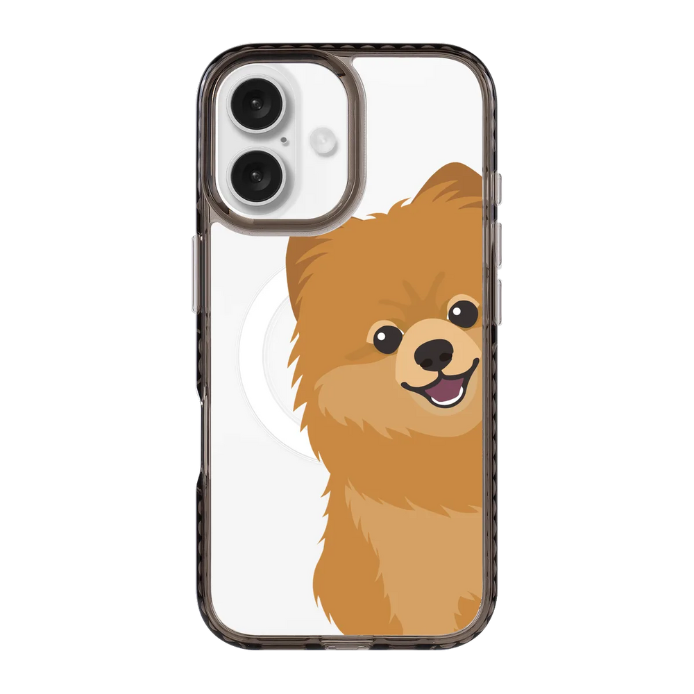 2265-iphone-16-golden-case-magsafe-compatible-transparent-black