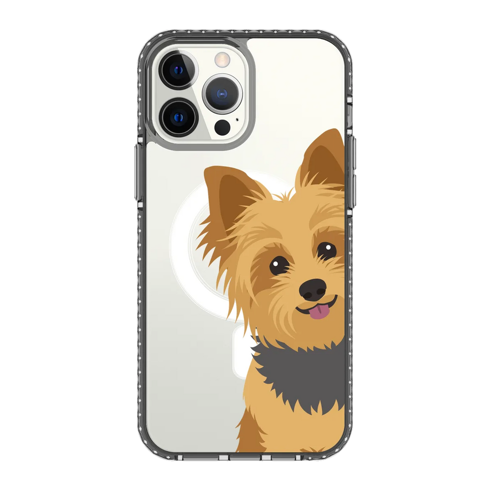 2267-iphone-13-pro-max-golden-case-magsafe-compatible-transparent-black