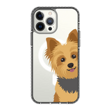 2267-iphone-13-pro-max-golden-case-magsafe-compatible-transparent-black