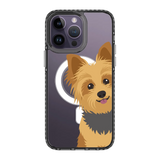 2267-iphone-14-pro-max-golden-case-magsafe-compatible-transparent-black