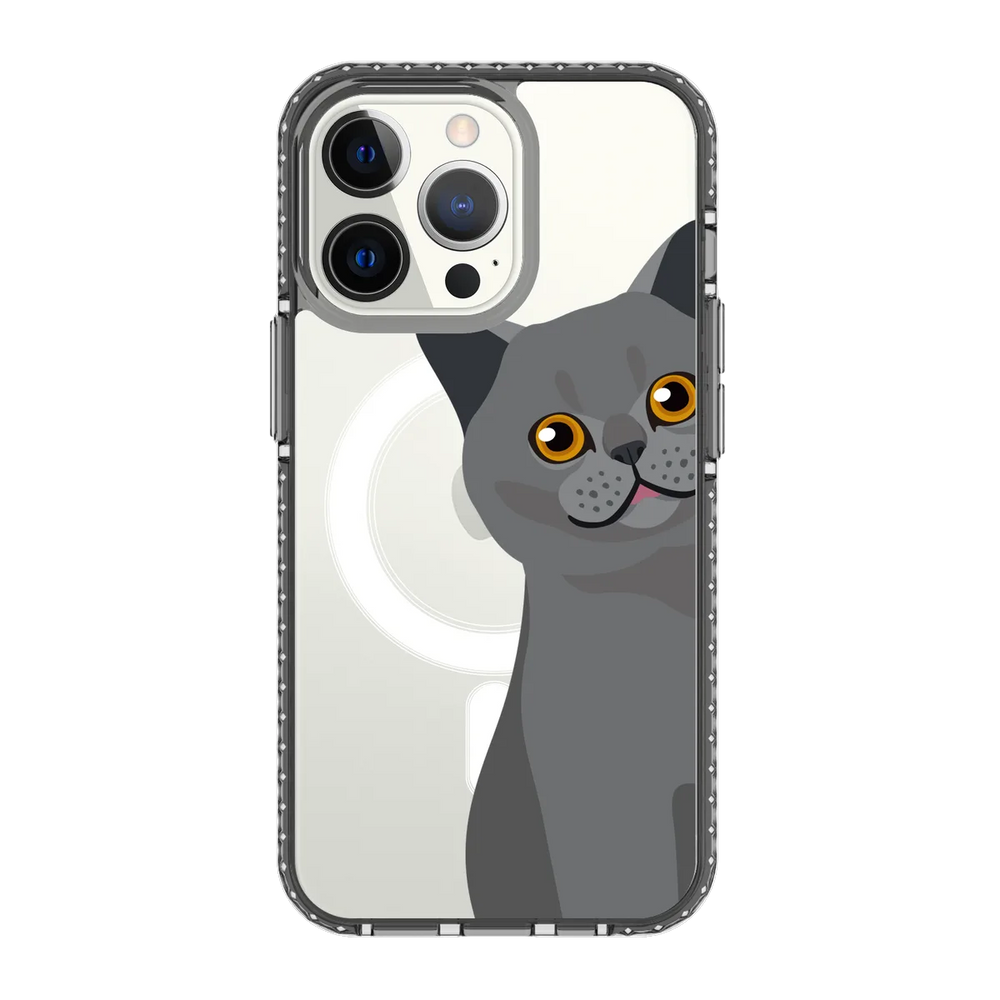 2274-iphone-13-pro-golden-case-magsafe-compatible-transparent-black
