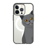 2274-iphone-13-pro-golden-case-magsafe-compatible-transparent-black