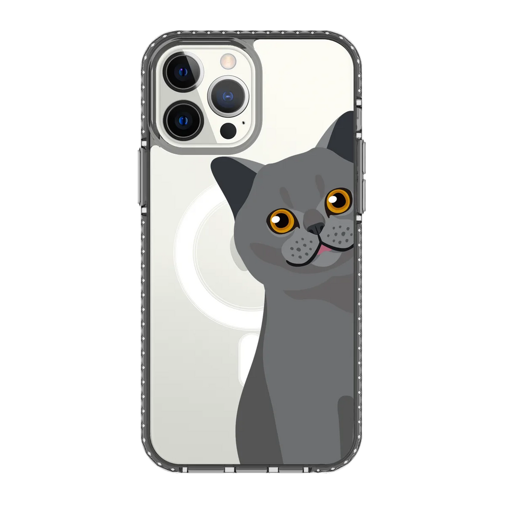 2274-iphone-13-pro-max-golden-case-magsafe-compatible-transparent-black