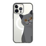 2274-iphone-13-pro-max-golden-case-magsafe-compatible-transparent-black