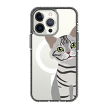 2275-iphone-13-pro-golden-case-magsafe-compatible-transparent-black
