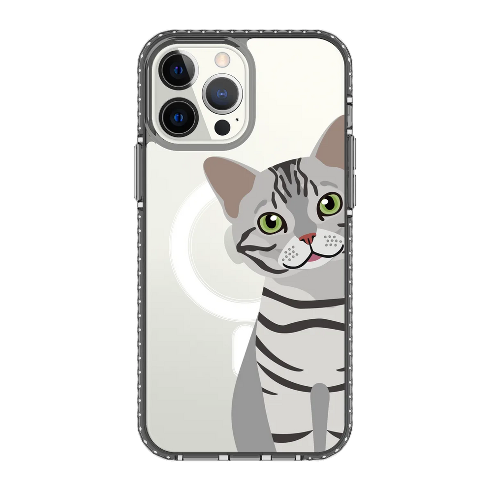 2275-iphone-13-pro-max-golden-case-magsafe-compatible-transparent-black