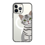 2275-iphone-13-pro-max-golden-case-magsafe-compatible-transparent-black