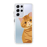 2277-galaxy-s21-ultra-hybrid-plus-transparent
