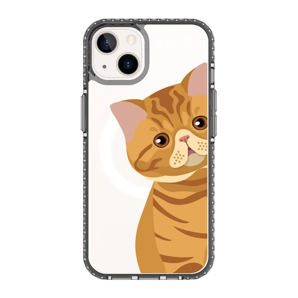 2277-iphone-13-golden-case-magsafe-compatible-transparent-black