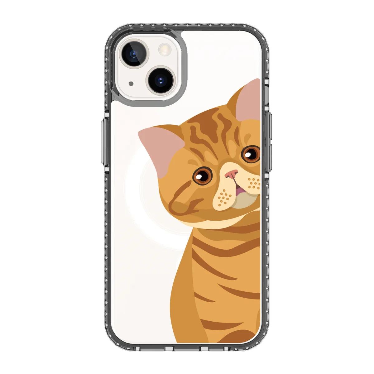 2277-iphone-13-golden-case-magsafe-compatible-transparent-black