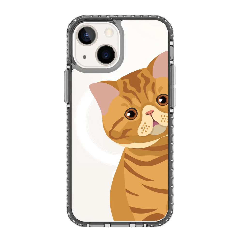 2277-iphone-13-mini-golden-case-magsafe-compatible-transparent-black