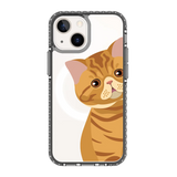 2277-iphone-13-mini-golden-case-magsafe-compatible-transparent-black