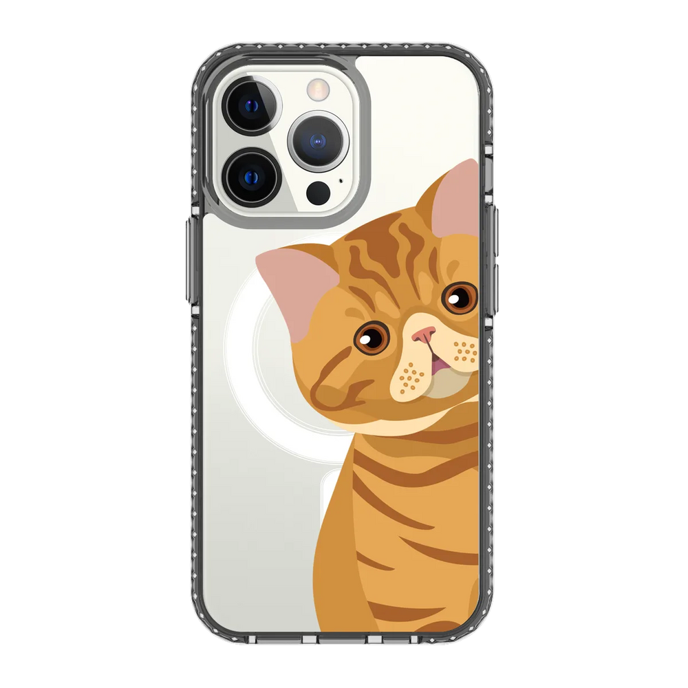 2277-iphone-13-pro-golden-case-magsafe-compatible-transparent-black