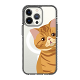 2277-iphone-13-pro-golden-case-magsafe-compatible-transparent-black