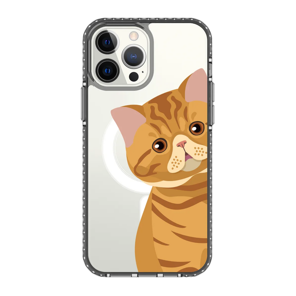 2277-iphone-13-pro-max-golden-case-magsafe-compatible-transparent-black
