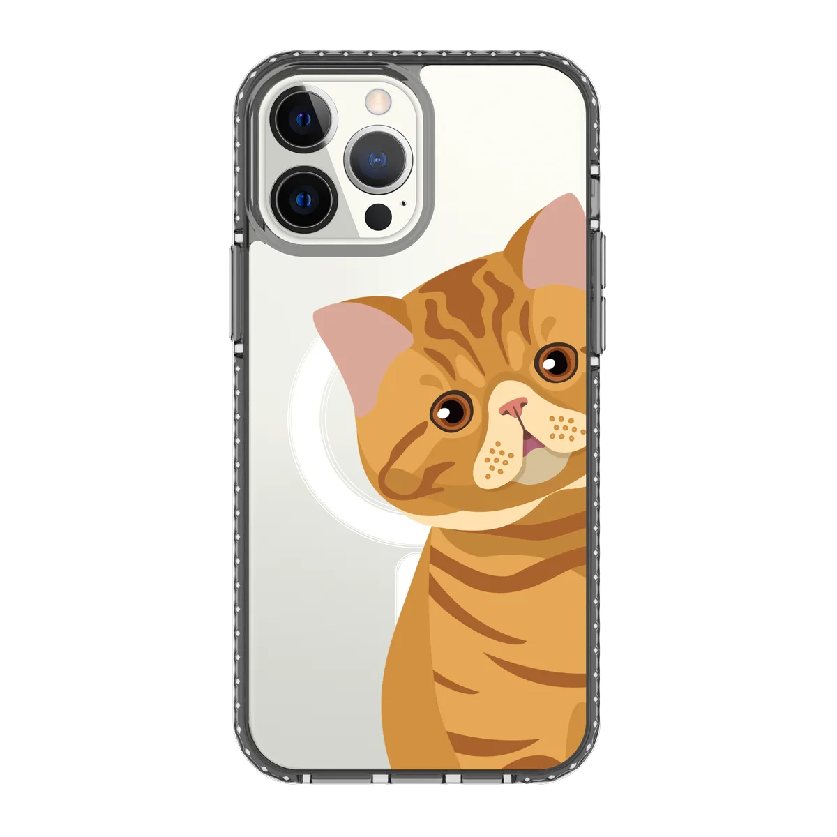 2277-iphone-13-pro-max-golden-case-magsafe-compatible-transparent-black
