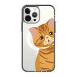 2277-iphone-13-pro-max-golden-case-magsafe-compatible-transparent-black