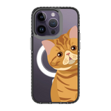 2277-iphone-14-pro-golden-case-magsafe-compatible-transparent-black