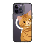 2277-iphone-14-pro-max-golden-case-magsafe-compatible-transparent-black