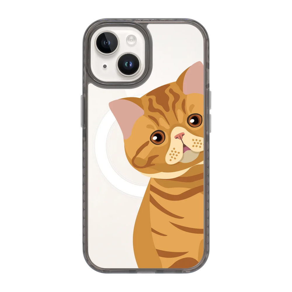 2277-iphone-15-golden-case-magsafe-compatible-transparent-black