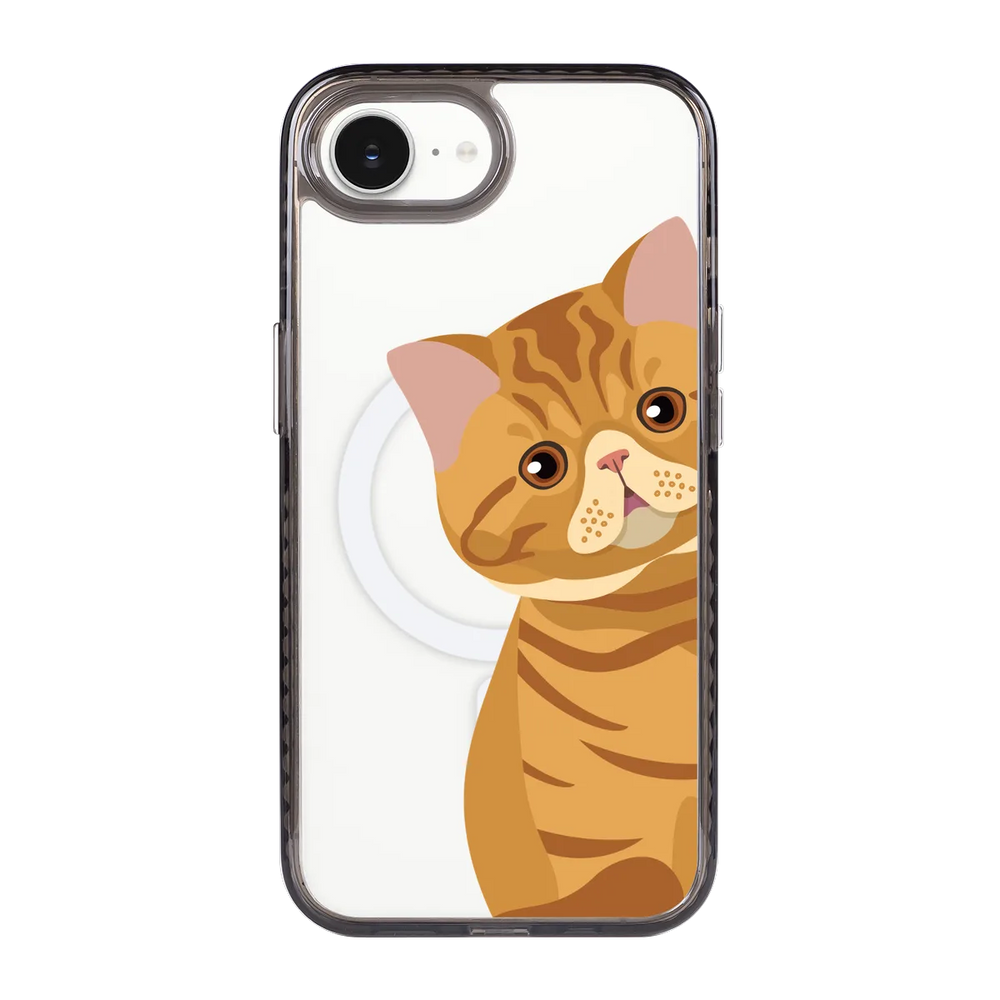 2277-iphone-16-e-golden-case-magsafe-compatible-transparent-black