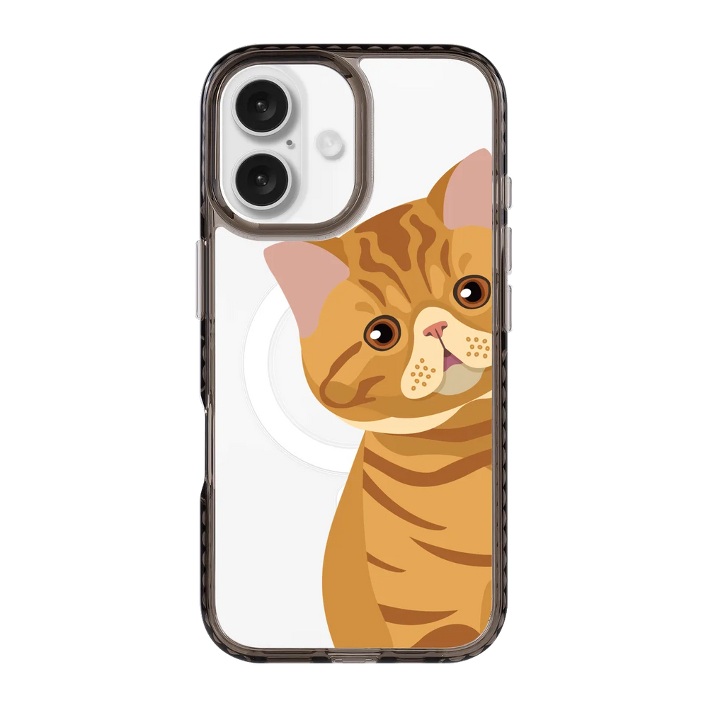 2277-iphone-16-golden-case-magsafe-compatible-transparent-black