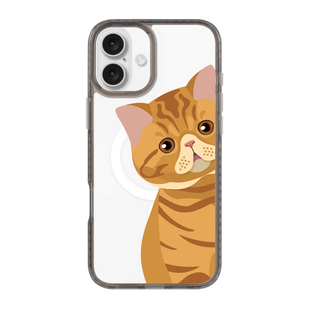 2277-iphone-16-plus-golden-case-magsafe-compatible-transparent-black