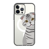 2282-iphone-13-pro-max-golden-case-magsafe-compatible-transparent-black