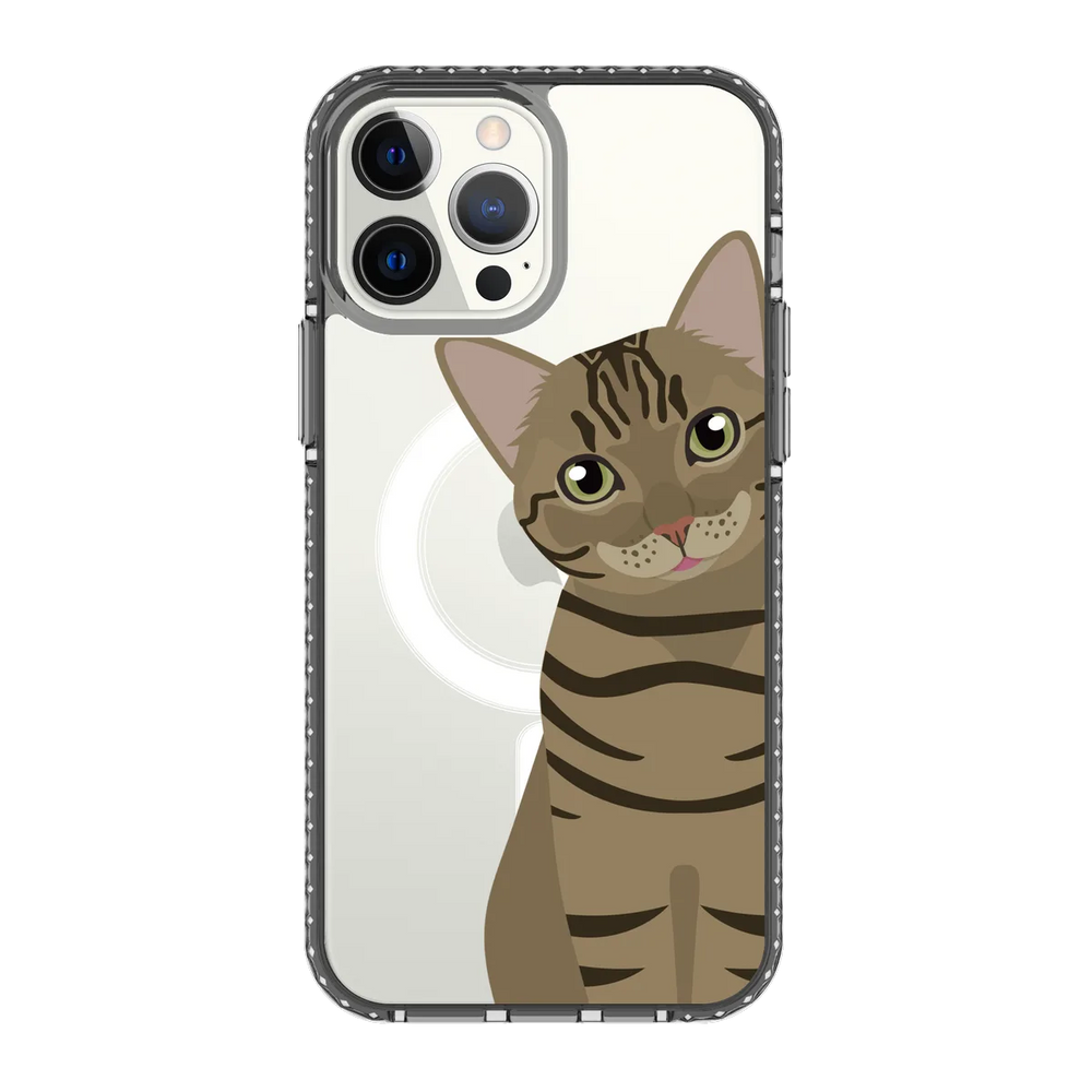 2285-iphone-13-pro-max-golden-case-magsafe-compatible-transparent-black