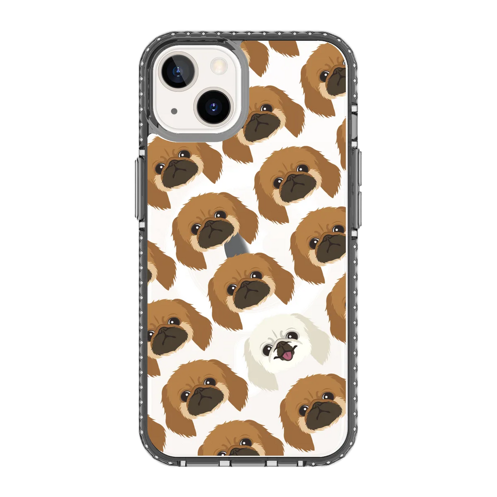 2292-iphone-13-golden-case-magsafe-compatible-transparent-black