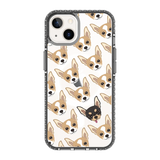 2293-iphone-13-golden-case-magsafe-compatible-transparent-black