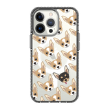 2293-iphone-13-pro-golden-case-magsafe-compatible-transparent-black