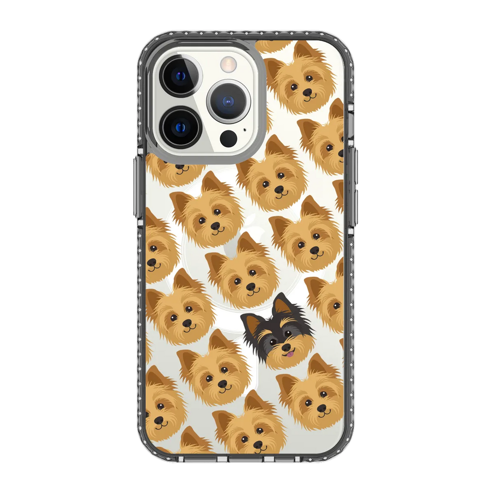 2297-iphone-13-pro-golden-case-magsafe-compatible-transparent-black