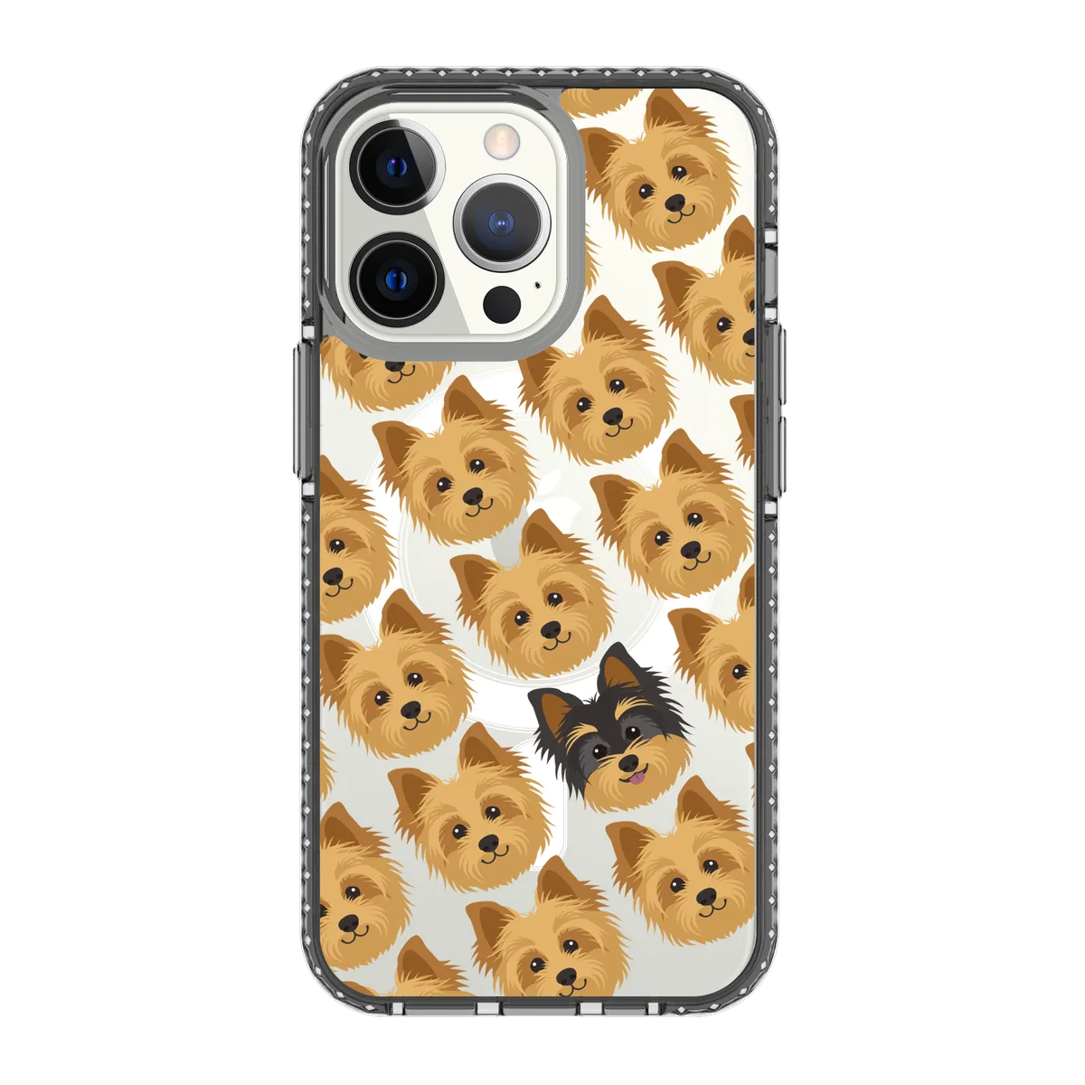 2297-iphone-13-pro-golden-case-magsafe-compatible-transparent-black