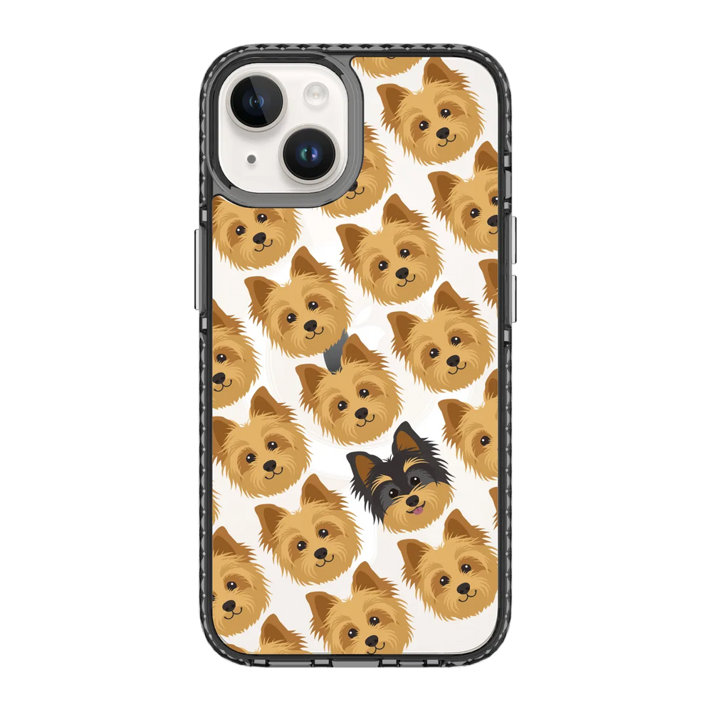 2297-iphone-14-golden-case-magsafe-compatible-transparent-black