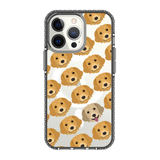2300-iphone-13-pro-golden-case-magsafe-compatible-transparent-black