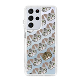 2305-galaxy-s21-ultra-hybrid-plus-transparent