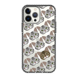2305-iphone-13-pro-max-golden-case-magsafe-compatible-transparent-black