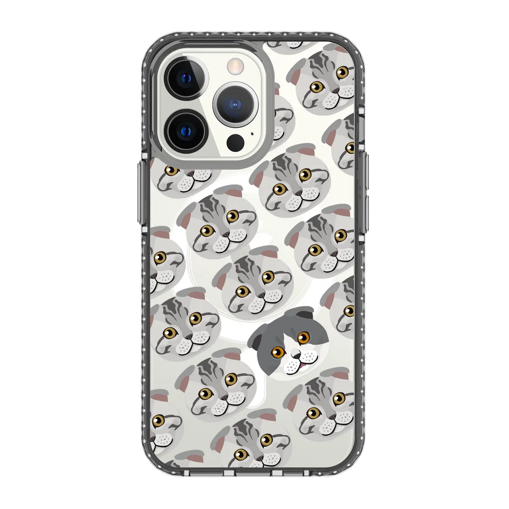 2312-iphone-13-pro-golden-case-magsafe-compatible-transparent-black