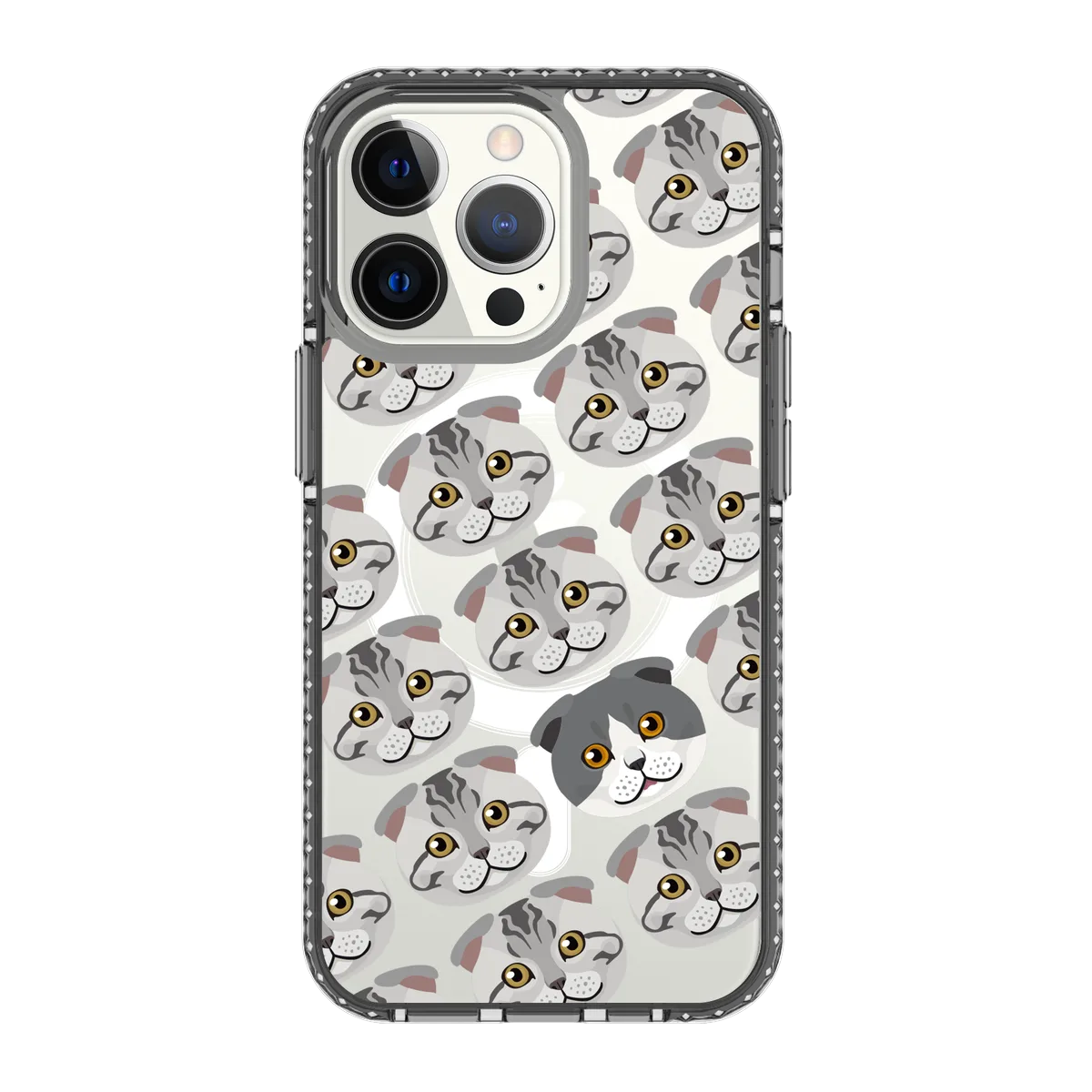 2312-iphone-13-pro-golden-case-magsafe-compatible-transparent-black