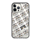 2312-iphone-13-pro-max-golden-case-magsafe-compatible-transparent-black