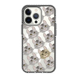 2314-iphone-13-pro-golden-case-magsafe-compatible-transparent-black