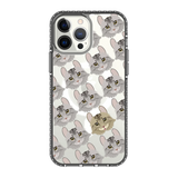 2314-iphone-13-pro-max-golden-case-magsafe-compatible-transparent-black